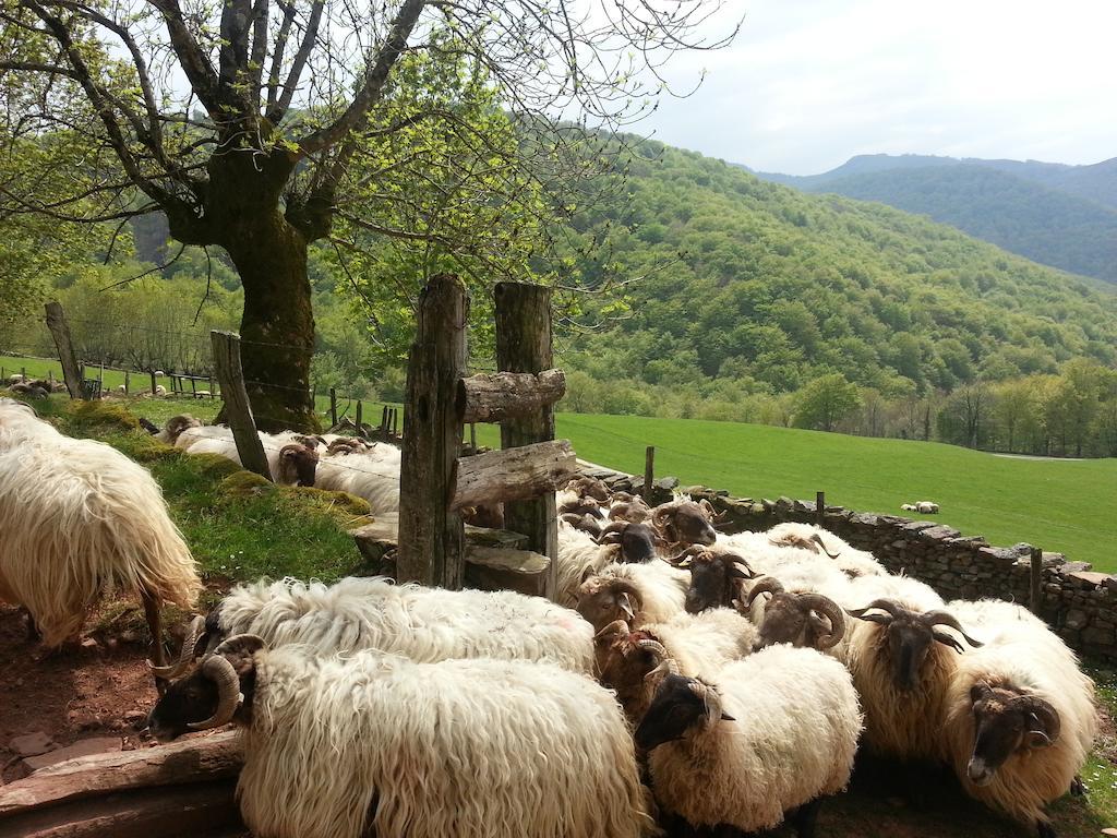 إليزوندو Casa Rural Urruska المظهر الخارجي الصورة
