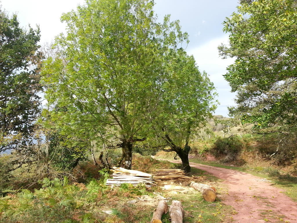 إليزوندو Casa Rural Urruska المظهر الخارجي الصورة