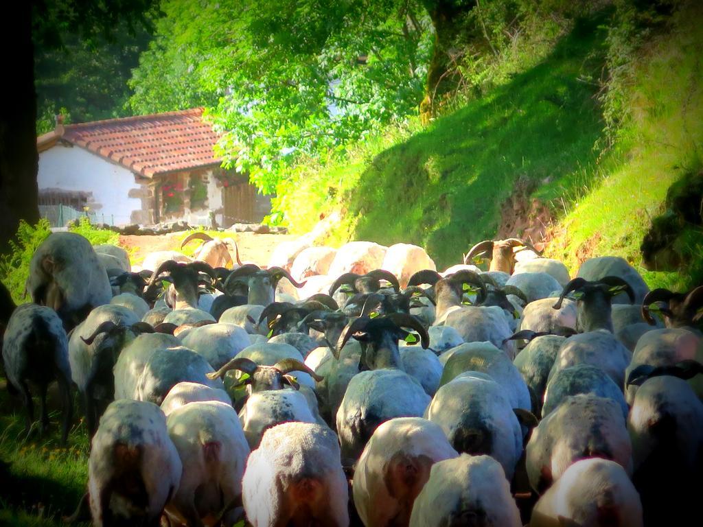 إليزوندو Casa Rural Urruska المظهر الخارجي الصورة